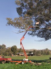 cherry picker.JPG